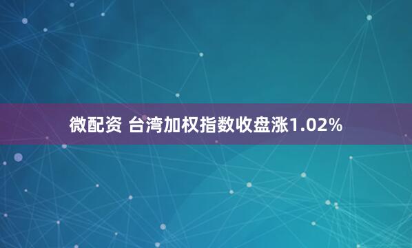 微配资 台湾加权指数收盘涨1.02%