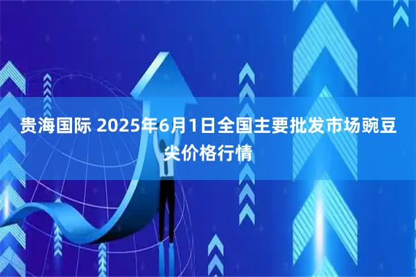 贵海国际 2025年6月1日全国主要批发市场豌豆尖价格行情
