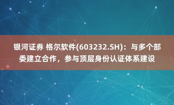 银河证券 格尔软件(603232.SH)：与多个部委建立合作，参与顶层身份认证体系建设