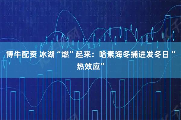 博牛配资 冰湖“燃”起来：哈素海冬捕迸发冬日“热效应”